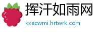 挥汗如雨网